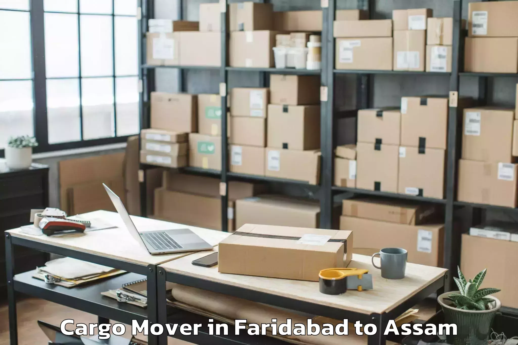 Easy Faridabad to Abhilashi University Guwahati Cargo Mover Booking